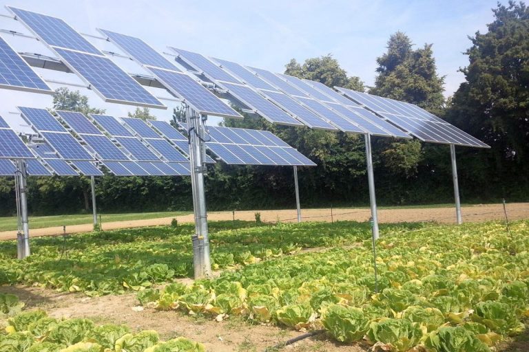 Lee más sobre el artículo Sinergias tecnoecológicas: el potencial de las instalaciones fotovoltaicas es mayor sobre cultivos