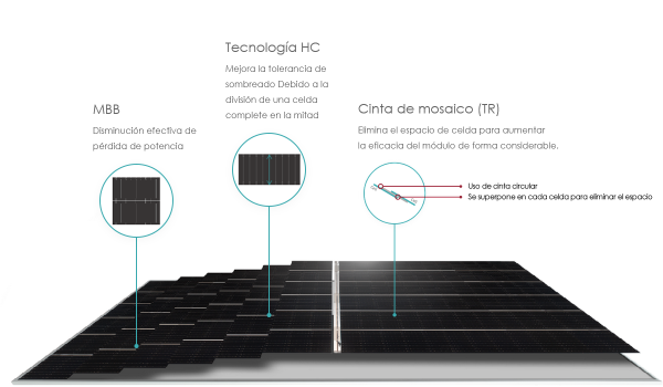 Lee más sobre el artículo Ventajas de los paneles solares Jinko Tiger Pro